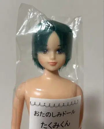 리카짱 캐슬 오타노시미 인형 타쿠미군