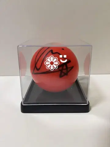라이즈 사인 공 스카우트