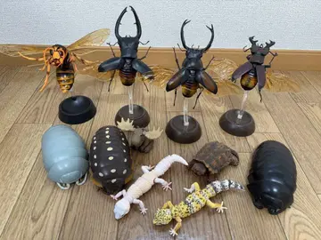 가챠 생물대도감 사슴벌레, 바퀴벌레, 말벌, 도마뱀