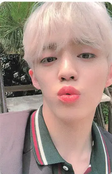 SEVENTEEN An Ode S.COUPS 트레이딩 카드 브라운