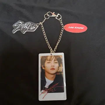 Stray Kids Lee Know 키링
