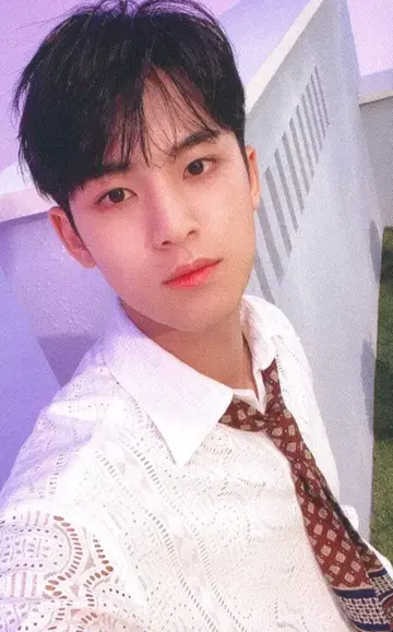 SEVENTEEN [Heng:garae] MINGYU 트레이딩 카드