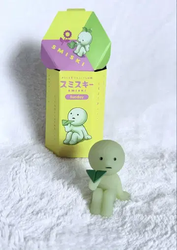 스미스 스키 Sunday 히코키 스키