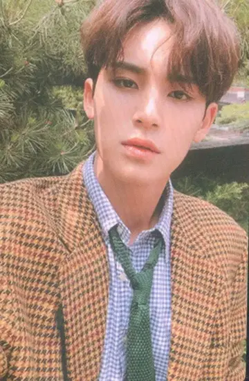 SEVENTEEN An Ode MINGYU 트레이딩 카드 브라운