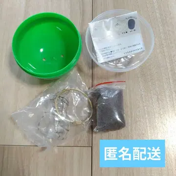 우리 아이의 털 뭉치, 키지트라