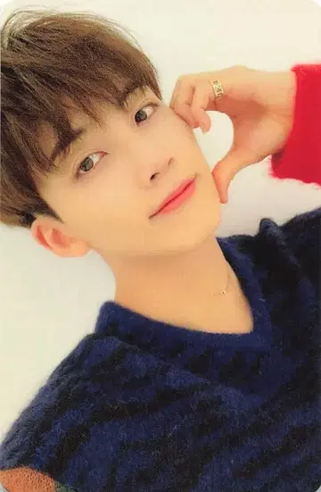 SEVENTEEN CARAT JEONGHAN 춤추듯 떨어지는 꽃잎