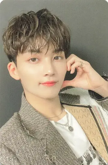 SEVENTEEN 춤추는 꽃잎 JEONGHAN 트레이딩 카드