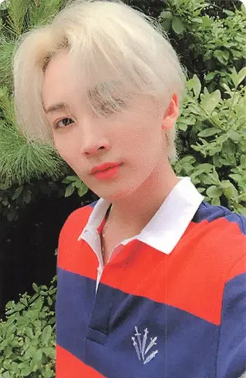 세븐틴 The Poet JEONGHAN An Ode 브라운