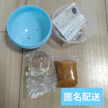 우리 아이의 털뭉치, 브라운