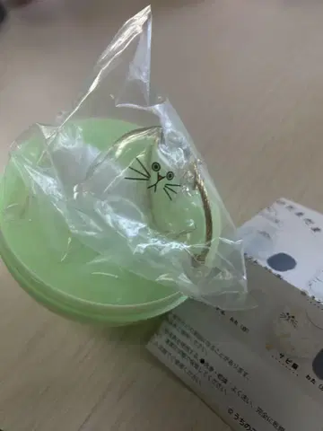 우리 아이의 털뭉치