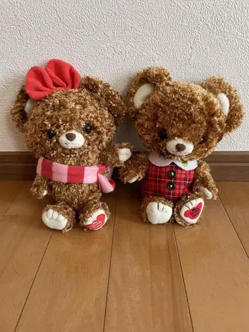 My Book Bear 곰 봉제 인형 2개 세트