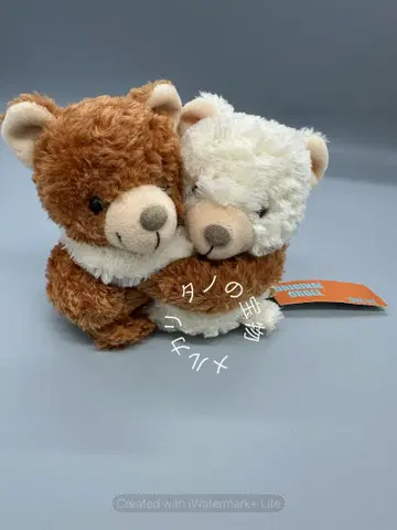 테이크 오프 곰 봉제 인형 오르골 포함