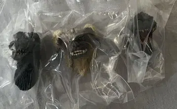 제일복권 고질라 G상 몬스터 헤드 마그넷