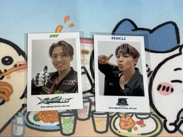 람페 아오야마 RIKU 폴라로이드풍 폴라로이드 트레이딩 카드 포토 카드