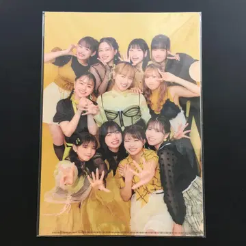 안주루무 A4 클리어 파일 3장 세트