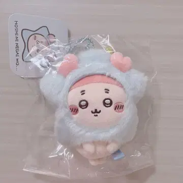 치이카와 (먼작귀) 별에 소원을... 마스코트 헌책방 가니