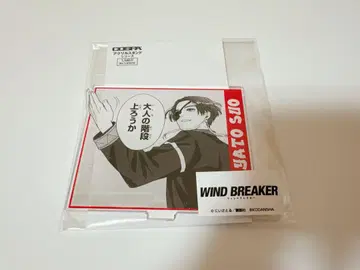 WIND BREAKER 아크릴 스탠드 가성비 소샹샹