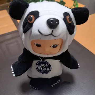 큐피 팬더