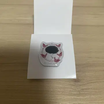클라우드 나인 파크 핀 배지 팬텀 시타