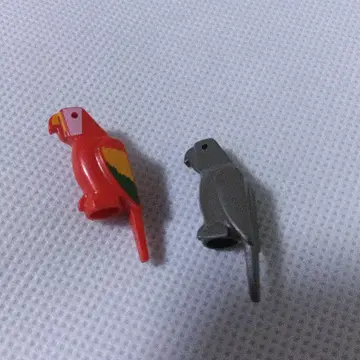 레고 레고 그레이 앵무새