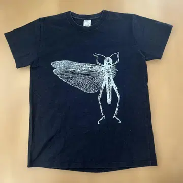 THE LOCUST 티셔츠