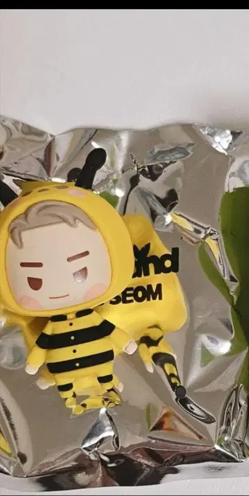 BTS FESTA 페스타 라키드로 인더솜 RM 남