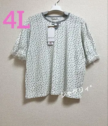 아베일 풀오버 레이스 소매 블루 플러스 사이즈 4L