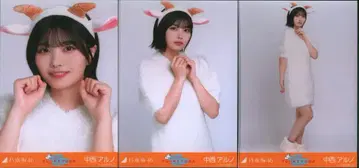 노기자카46 회장에서 한정판 브로마이드 나카니시 아루노 곤조 머리띠 컴프