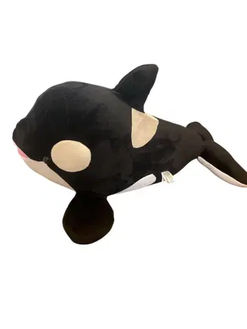 고베 스마 월드 2등 샤치 봉제 인형 약 50cm