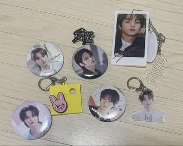 Straykids 리노 LeeKnow 키링 배지 세트 찬빈