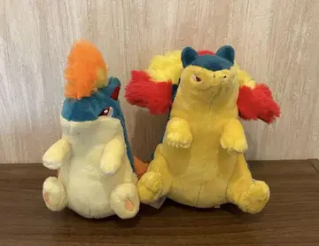 마그마라시 박풍 포켓몬 fit