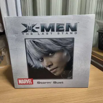 X-Men The LAST STAND 스톰 버스트 마블