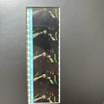 에반게리온 신극장판: 파괴 DVD 혜택 시계 부품 마리