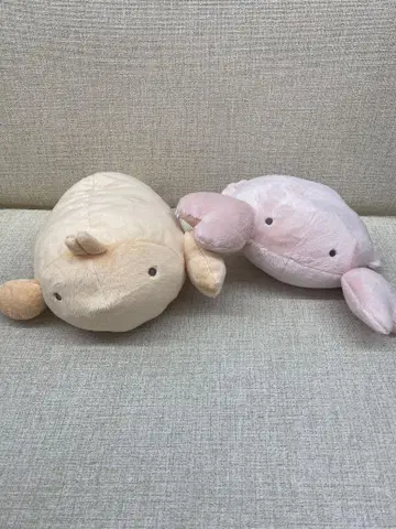 요코미조 유리노의 모든 생물 봉제 인형 게와 새우