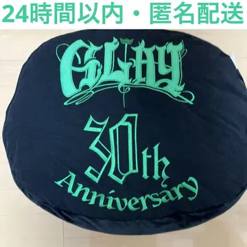 GIGO GLAY 페이스 쿠션 30th Takuro