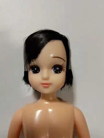 리카짱 캐슬 인형 교실  흑발 숏 헤어