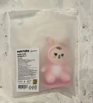 SEVENTEEN MINITEEN 마그넷 키링 정한