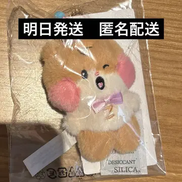 popup zb1 zeroni 미니 봉제 인형 키링 제로니 한빈