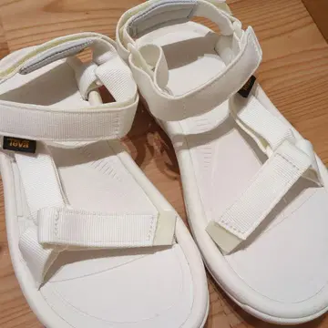 손으로
