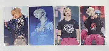키마타 쇼야 도쿄돔 랜트레 4매 세트
