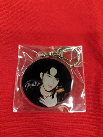 StrayKids SCARS Changbin 아크릴 키링 원형