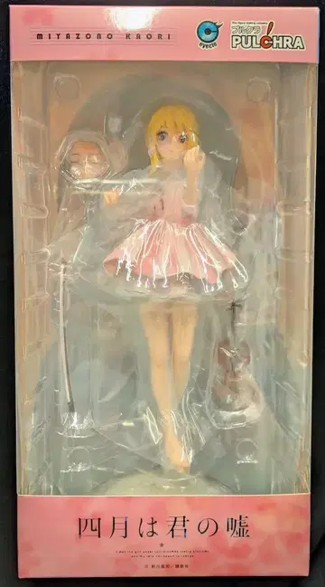 PULCHRA 미야조노 카오리 PVC
