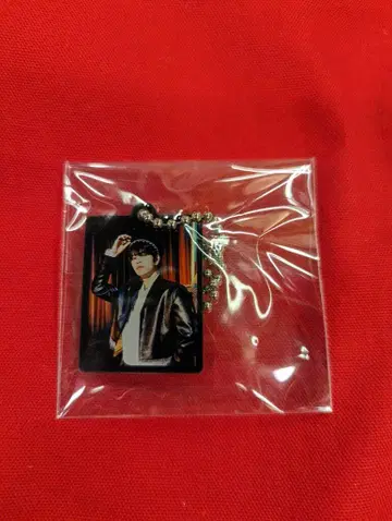 StrayKids Circus Seungmin 아크릴 참 키링
