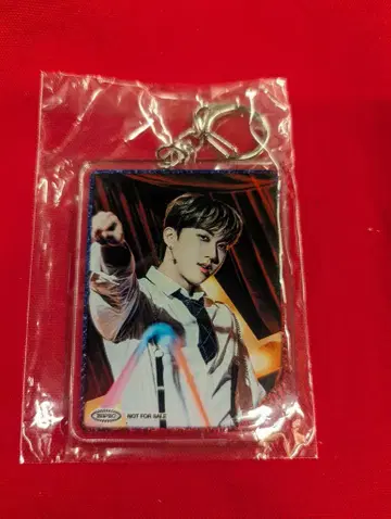 StrayKids Circus Changbin 아크릴 키링