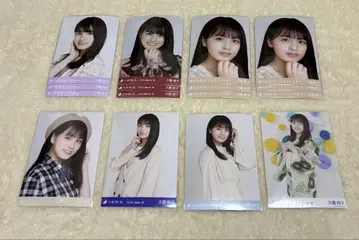 노기사카 브로마이드 오오조노 모모코 16장