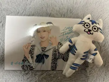 팬더 드래곤 타이 봉제 인형 + 2L 사진