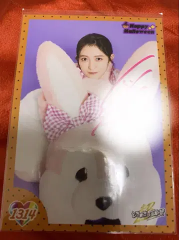 초도키메키 선전부 코이즈미 하야카 사인 포함 브로마이드