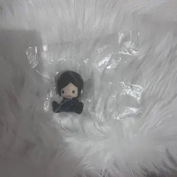 페타도르 모토루카 타카아키