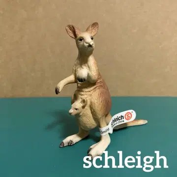 슐라이히 캥거루