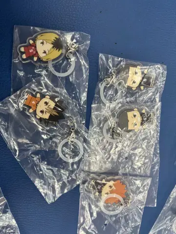 하이큐! 플랫 메지루시 액세서리 5종 세트